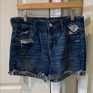 American Eagle Outfitters Distressed Dark Blue Jean Shorts